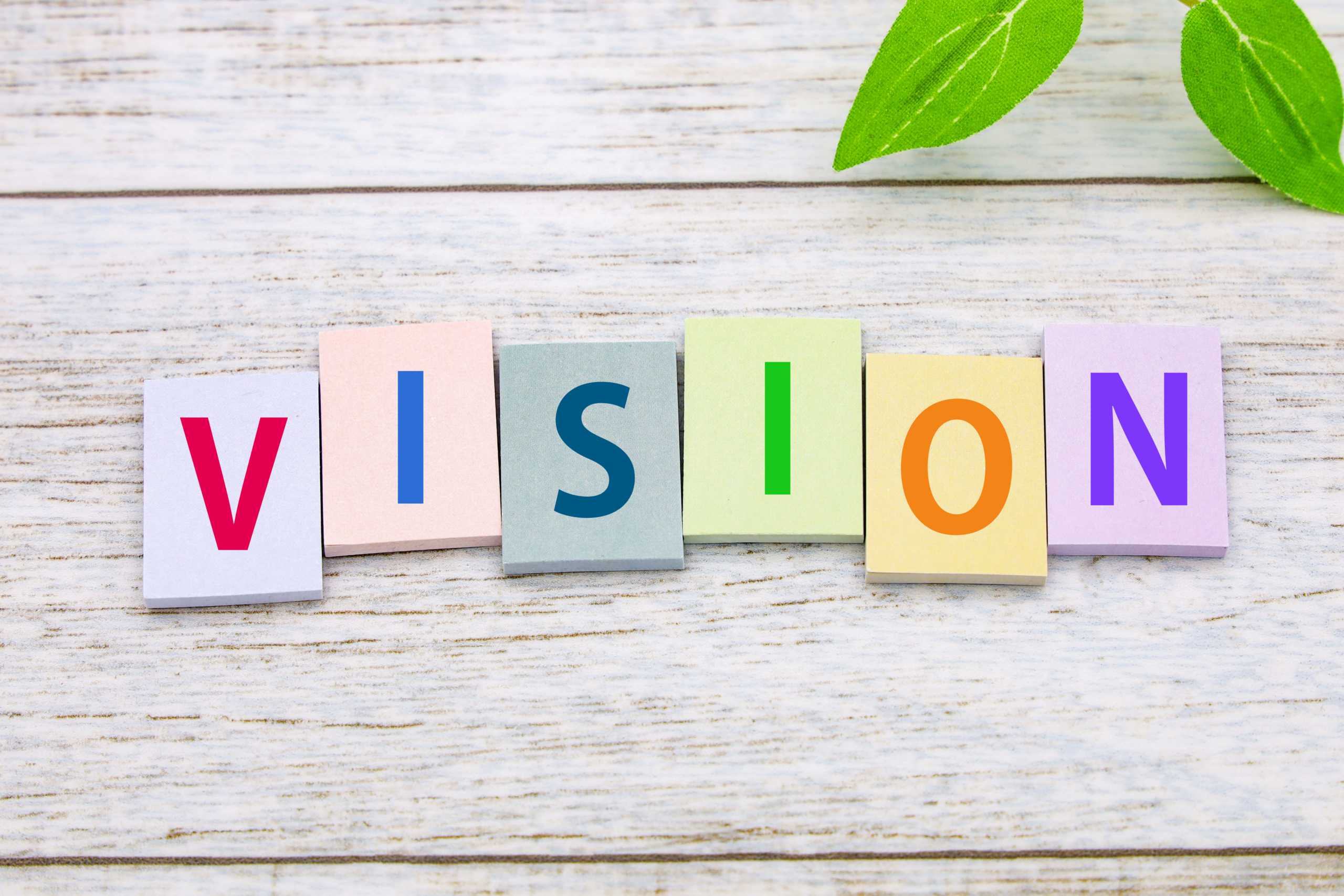 経営計画における「ビジョン」とは？ 「ミッション」・「バリュー」・「パーパス」との違いは？